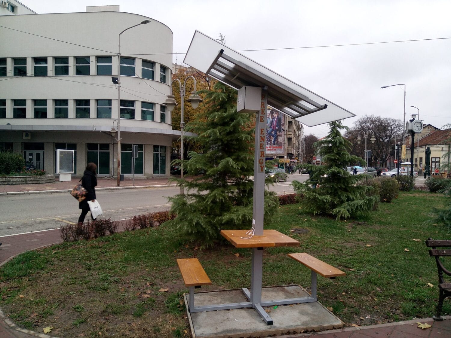 solarno drvo foto stefan markovic scaled