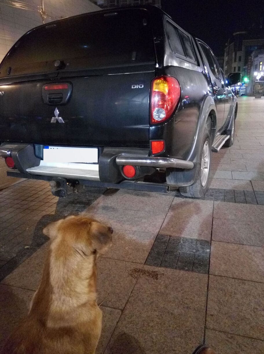 Parking foto Nikola Markovic