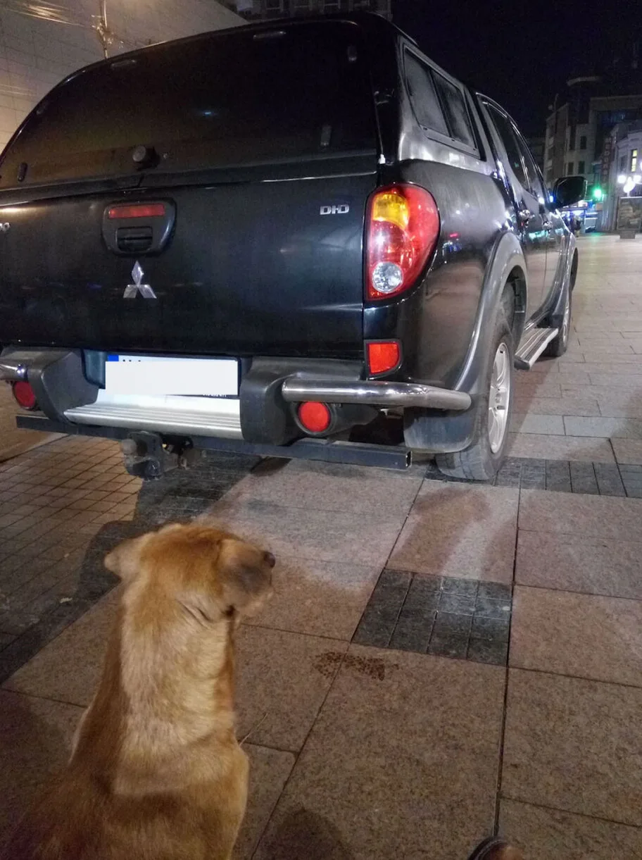 Pauk 1 Parking foto Nikola Markovic