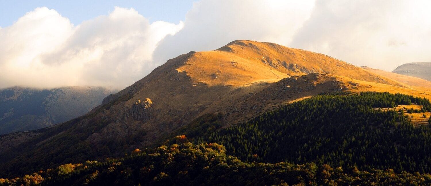 Midzor foto wikimedia Petkovic Boris scaled e1754210425758