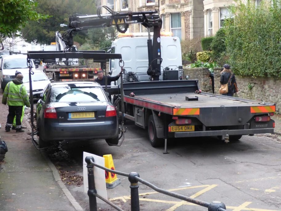 Pauk januar 2018 foto flickr Sam Saunders scaled