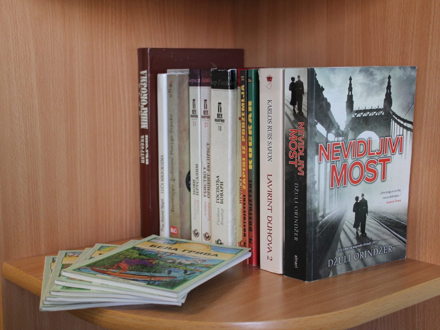 Knjige februar 208 foto Bojana Antic