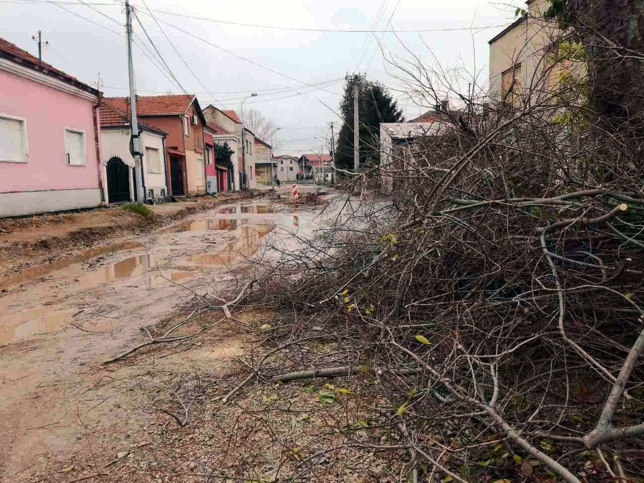 Daniciceva ulica novo1 foto D M