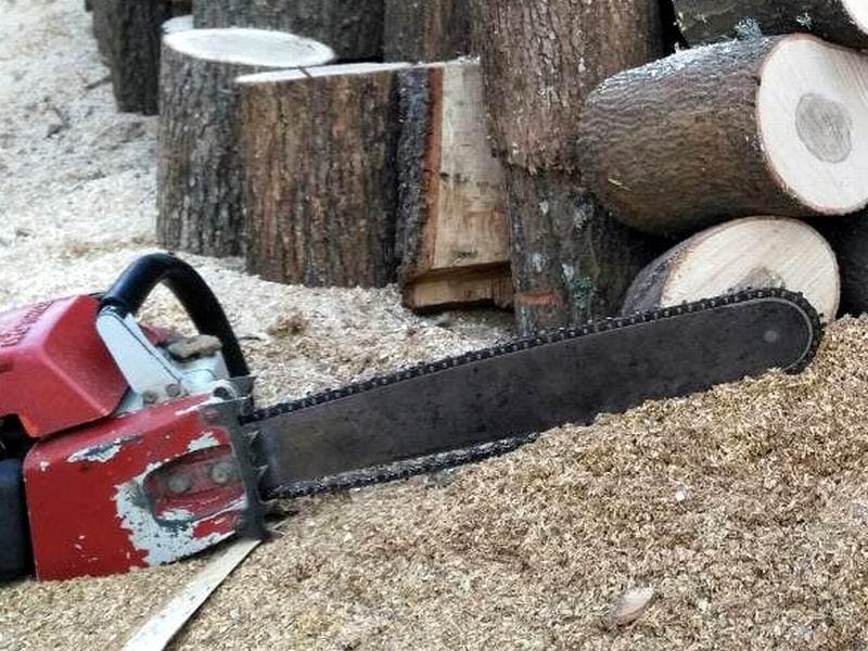 Mladić iz Vladičinog Hana stradao dok je sekao drva 13 testera drva foto aleksandar kostic