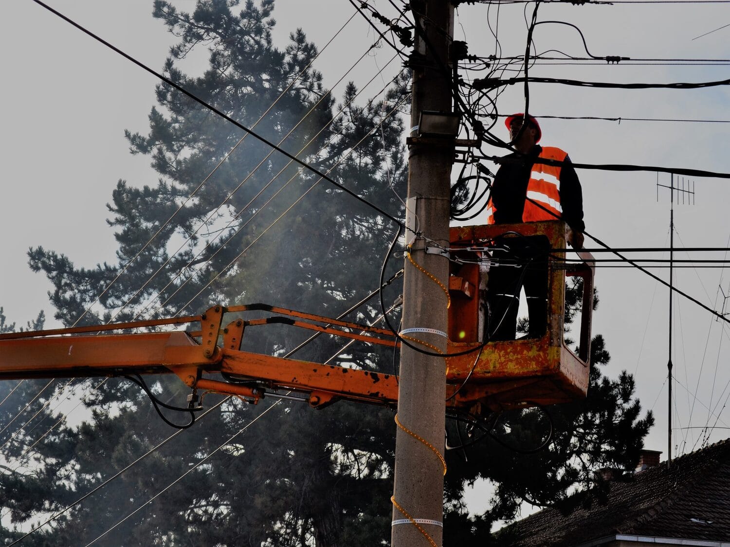 eps distribucija foto aleksandar kostic scaled