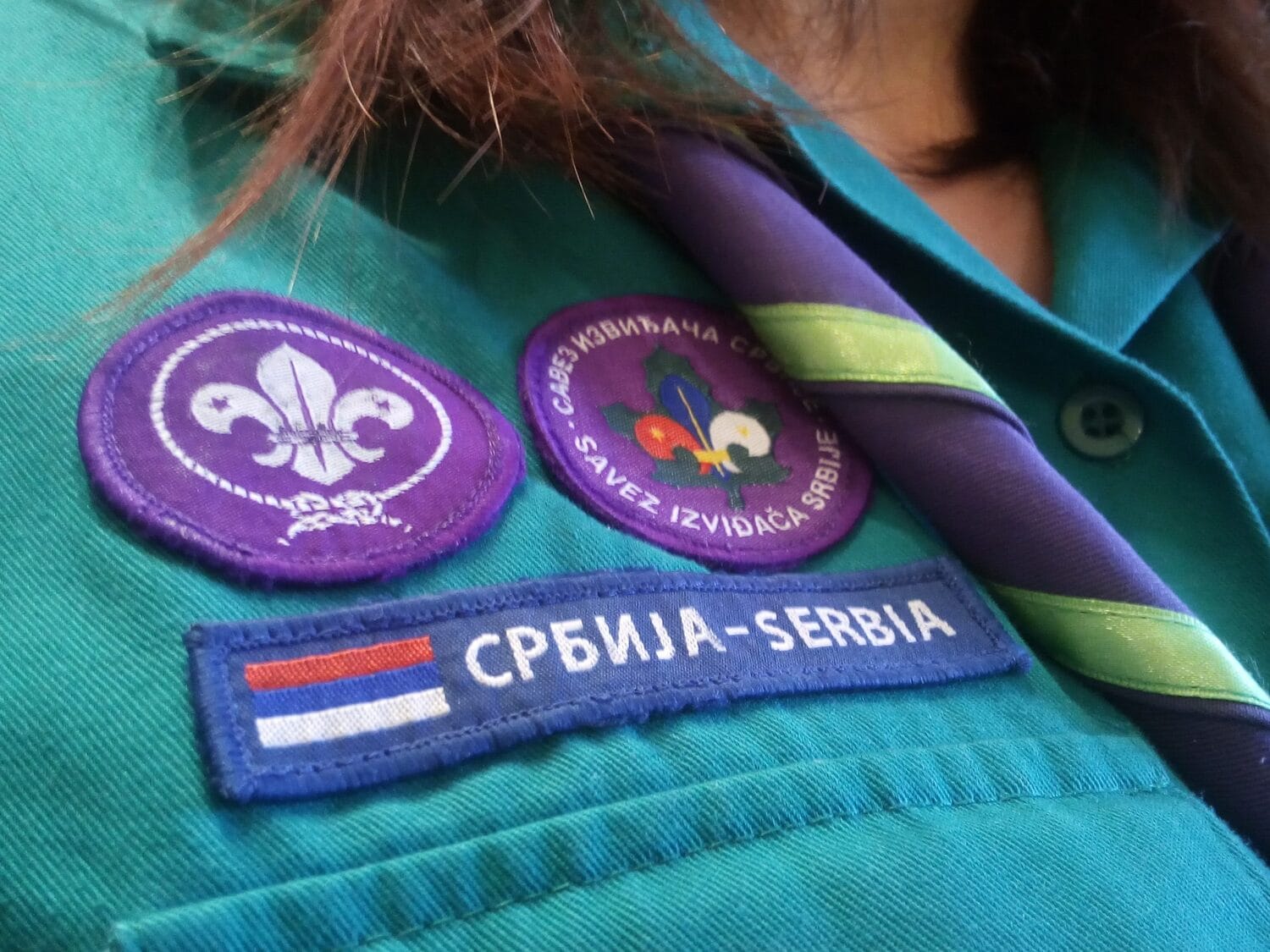 IMG 20180210 105654 Cropped scaled