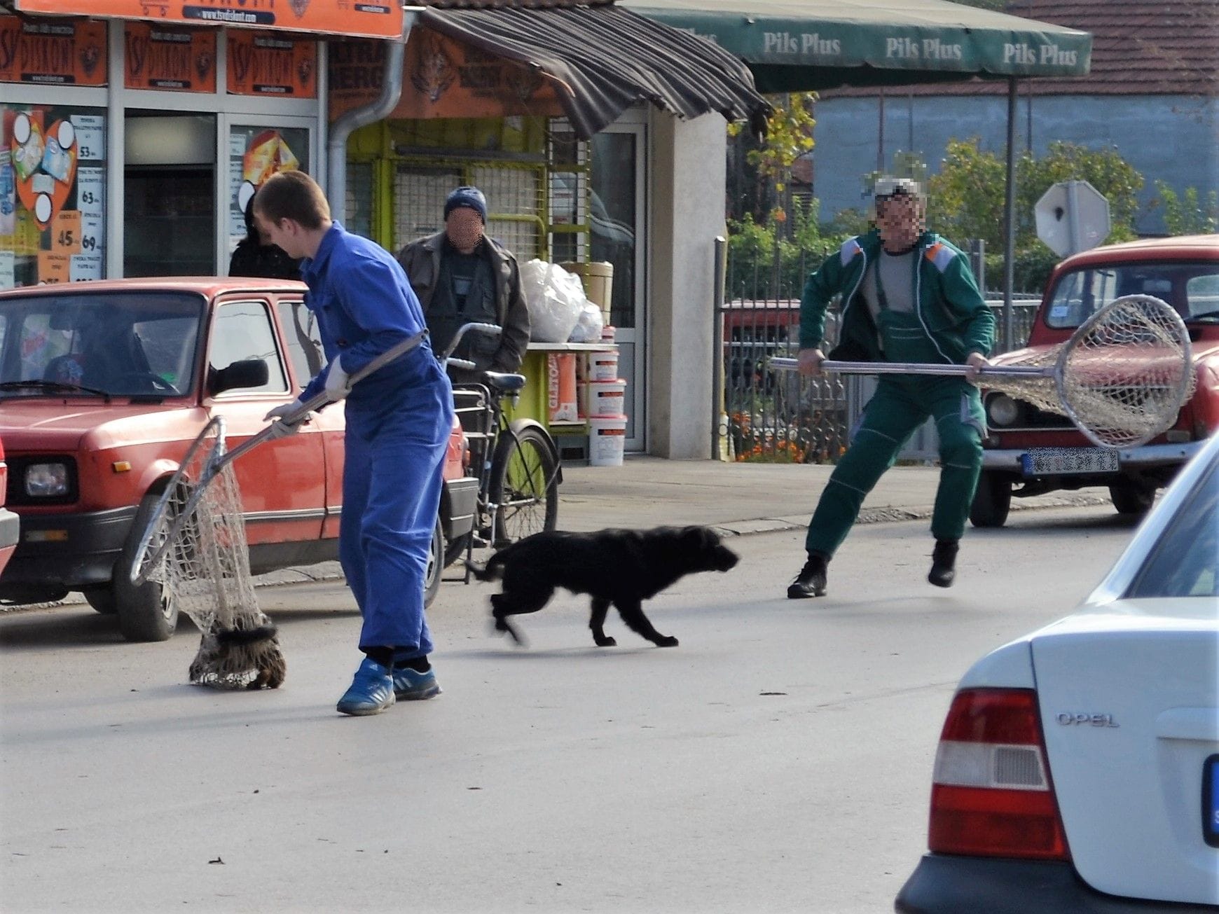Protest Vranjanaca zbog odluke o hvatanju napuštenih pasa 1 hvatanje psi lutalice foto aleksandar kostic