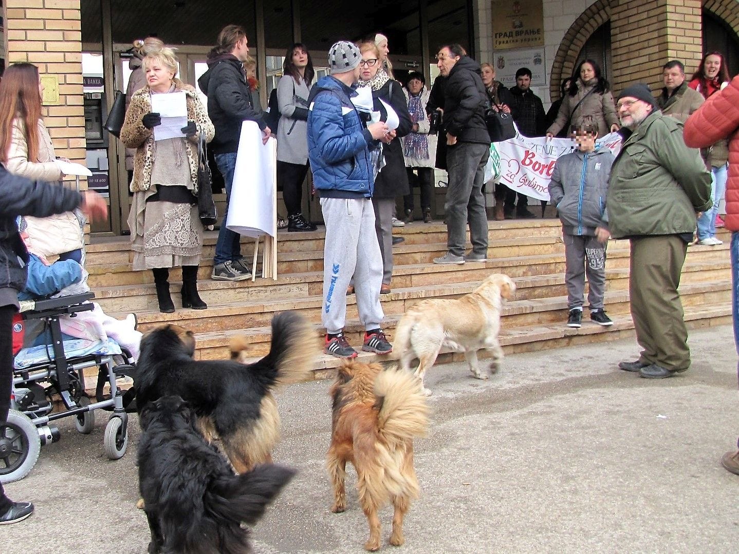 Zaštitari protestom traže da se problem napuštenih pasa rešava u samom Vranju 1 zastitari protest vranje foto i m