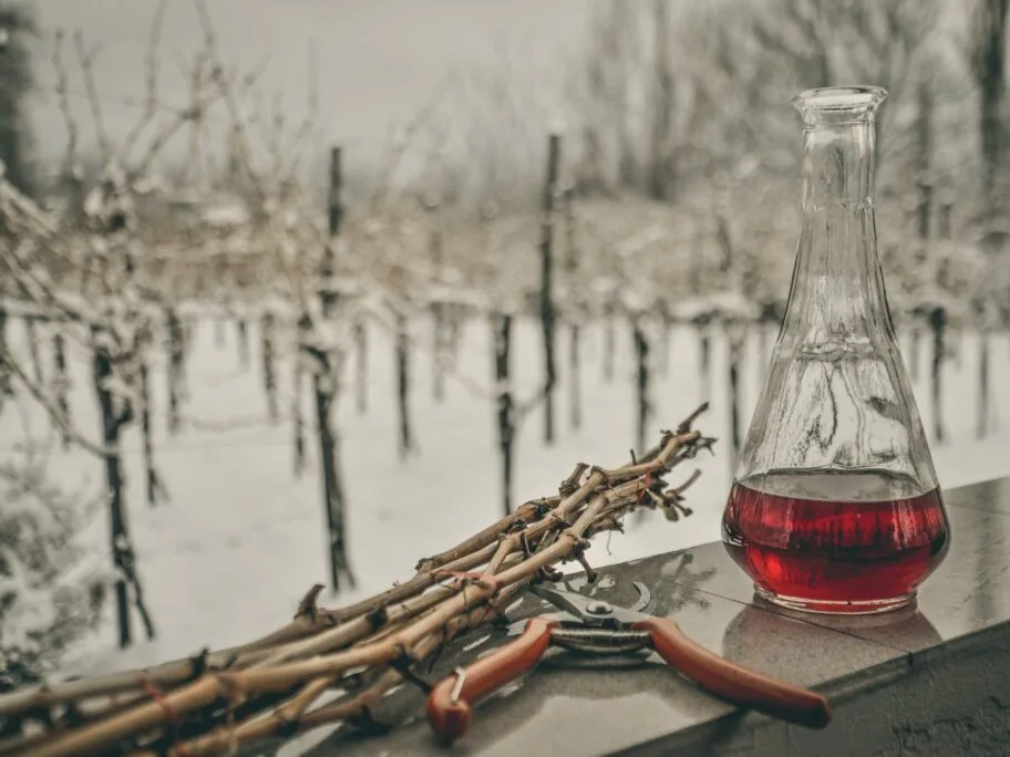 Zarezoja foto Vanja Keser