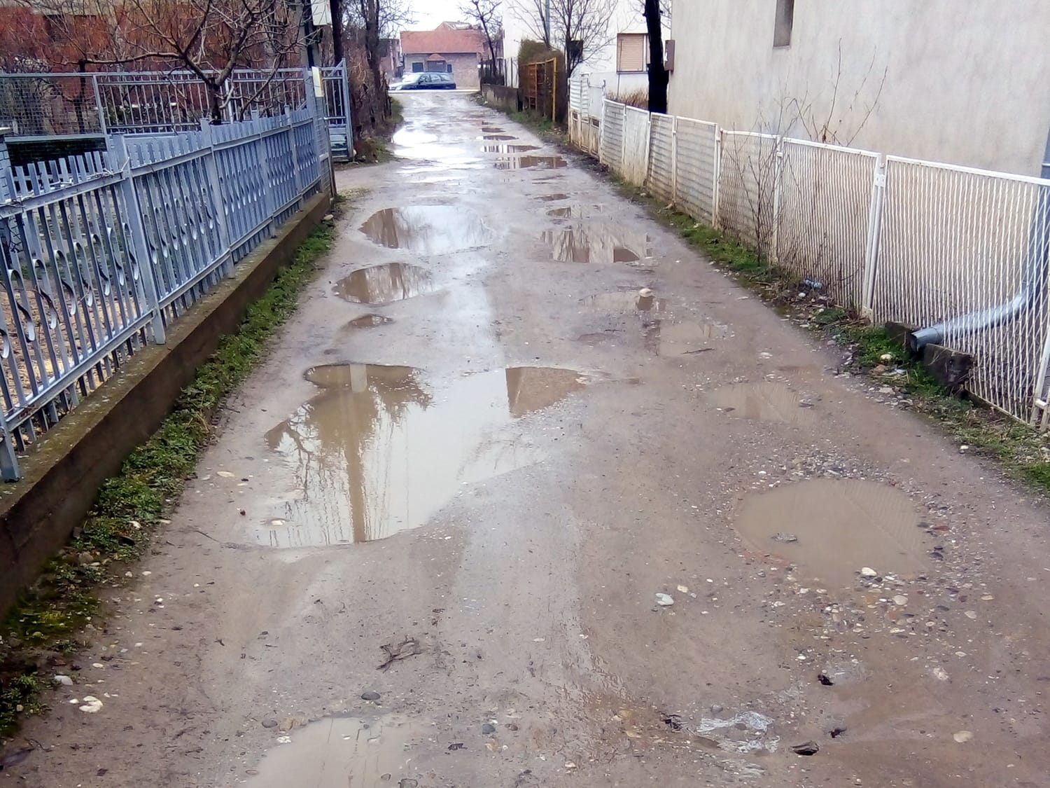 Vrežinski sokaci u blatu i barama 1 ulica foto citalac