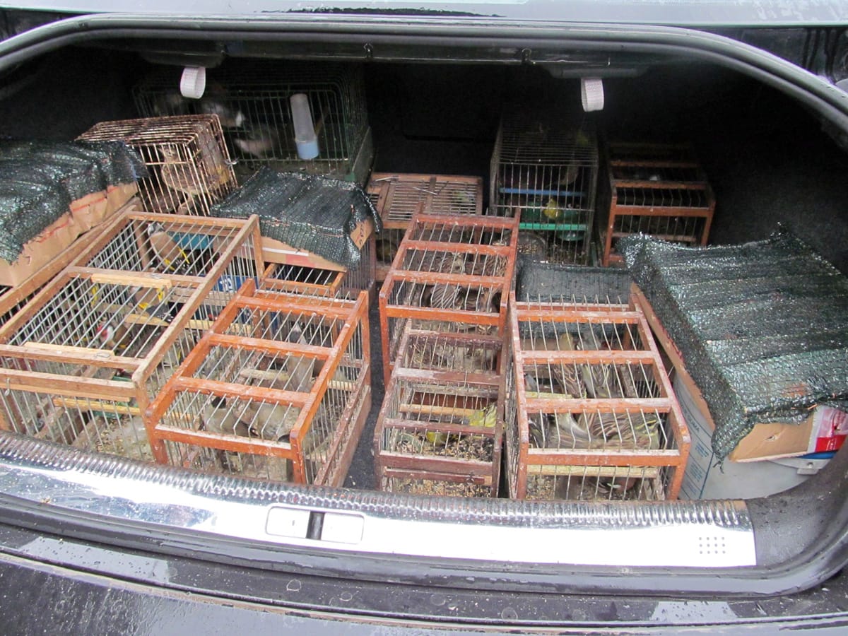 Velika zaplena Pancevo foto drustvo