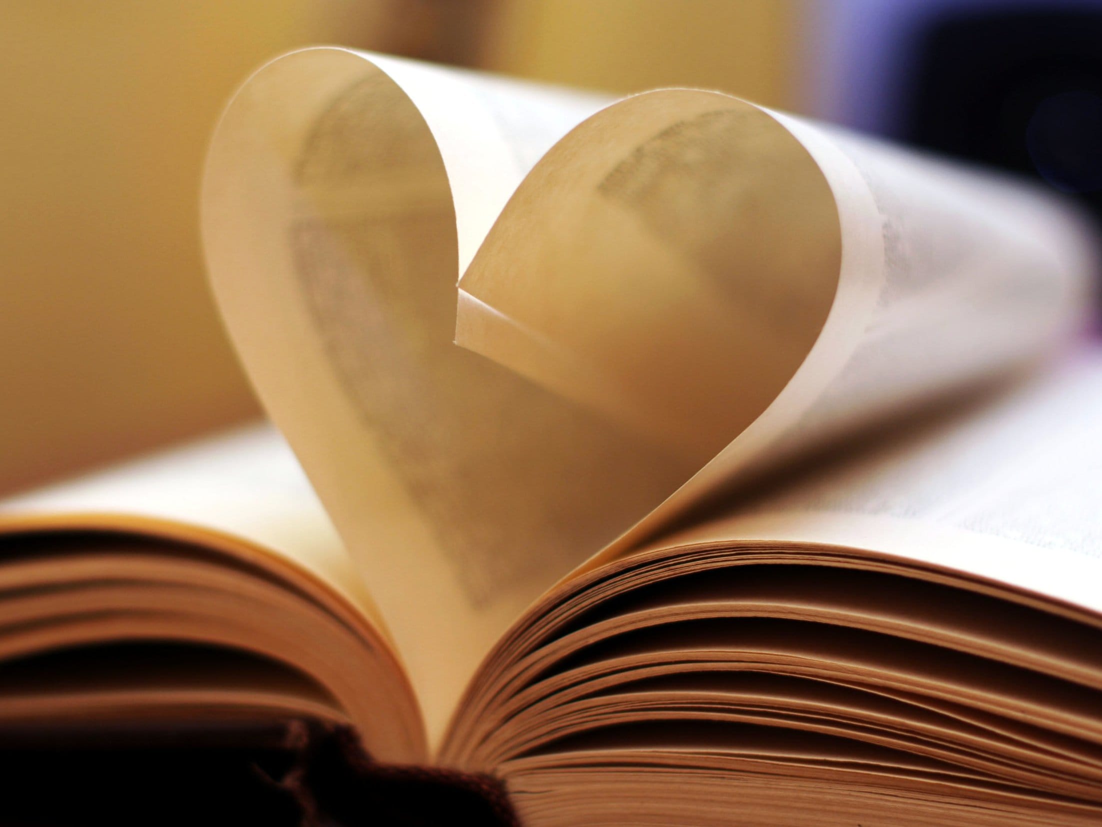 Knjiga ilustracija foto Flickr wewiorka wagner