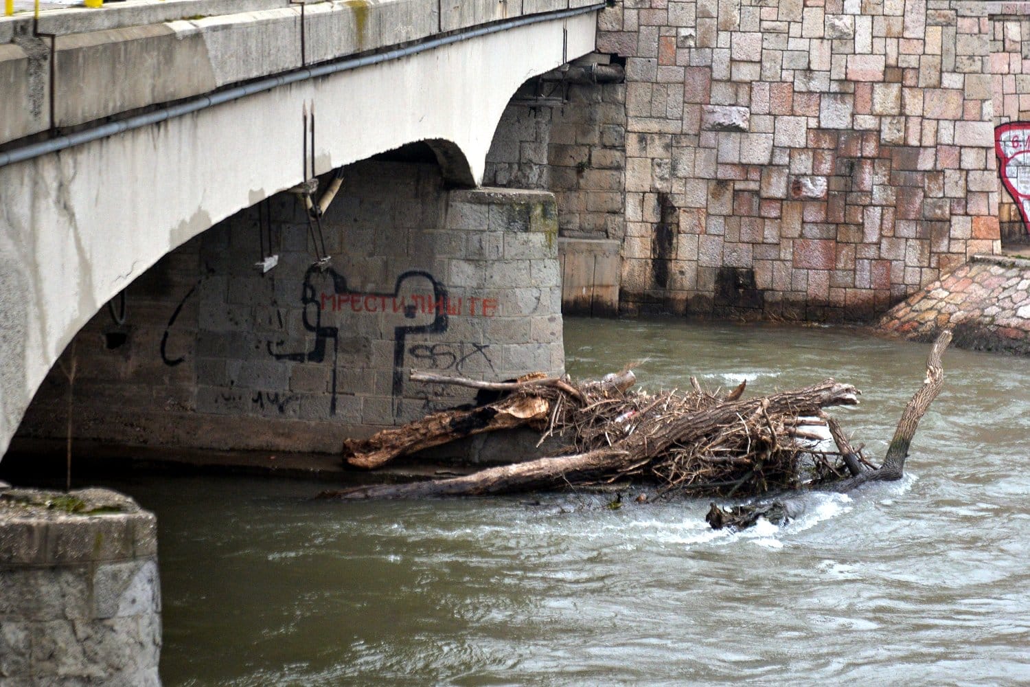 Zaglavljeno-drvece;-foto:-Vanja-Keser