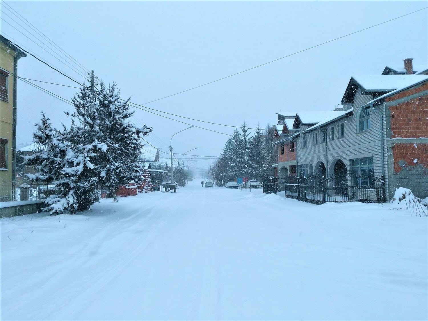 Svrljig sneg foto a k