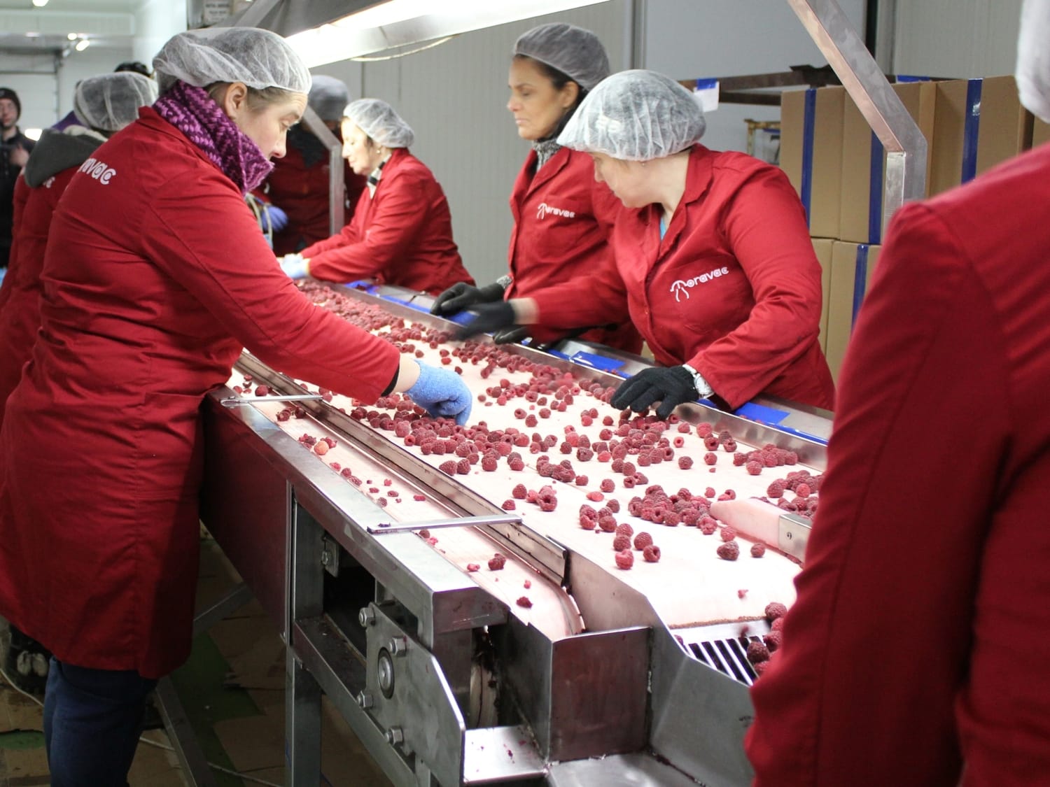 Malina februar 2018 foto Bojana Antic