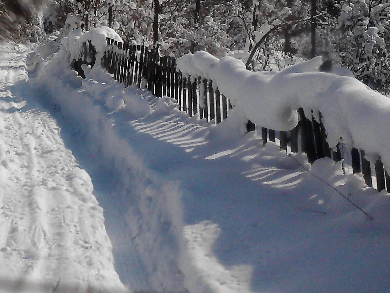 sneg selo foto a kostic