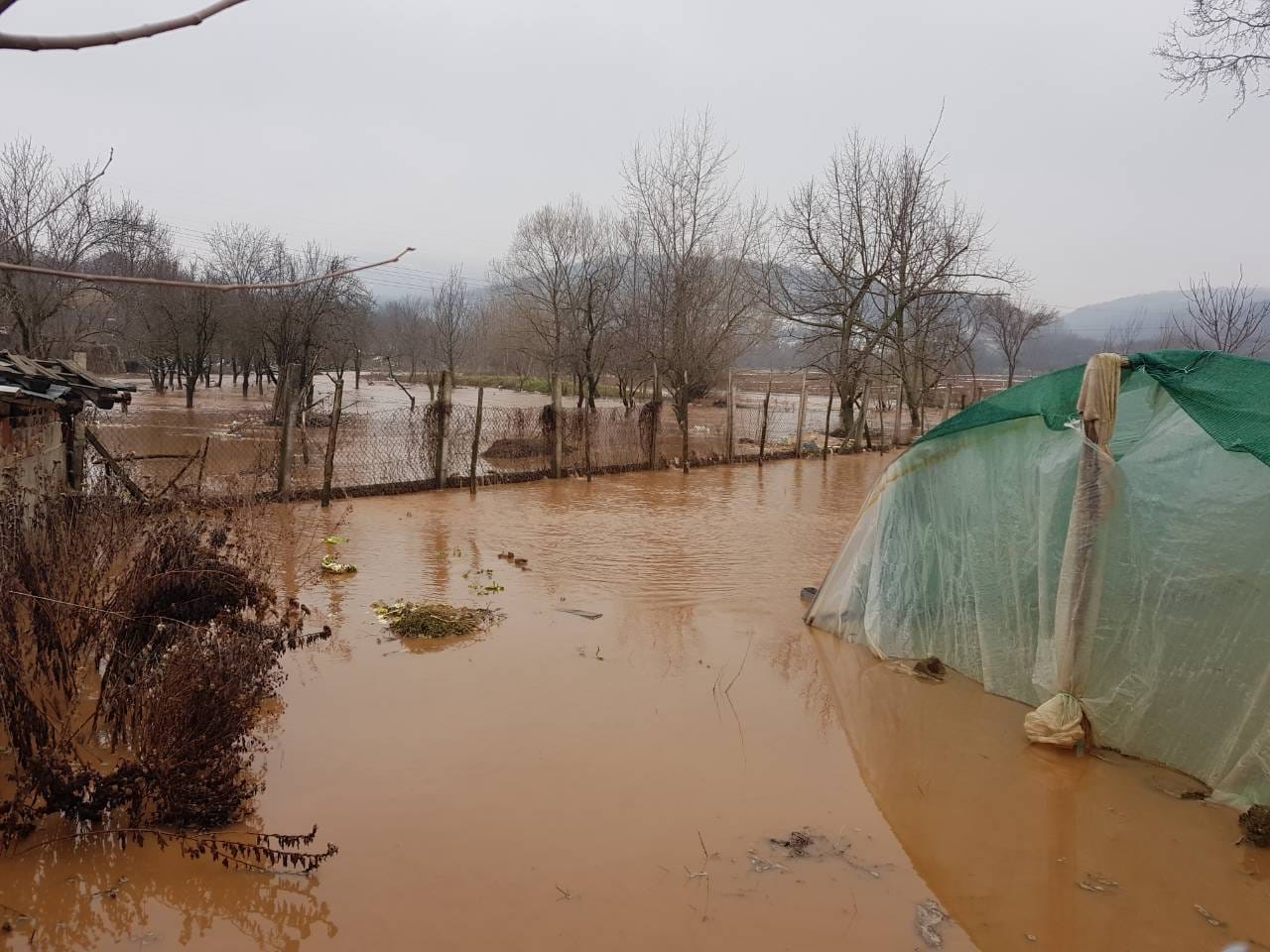 IMG 487d7b0ddca6c079206ccdba3cbd12da V