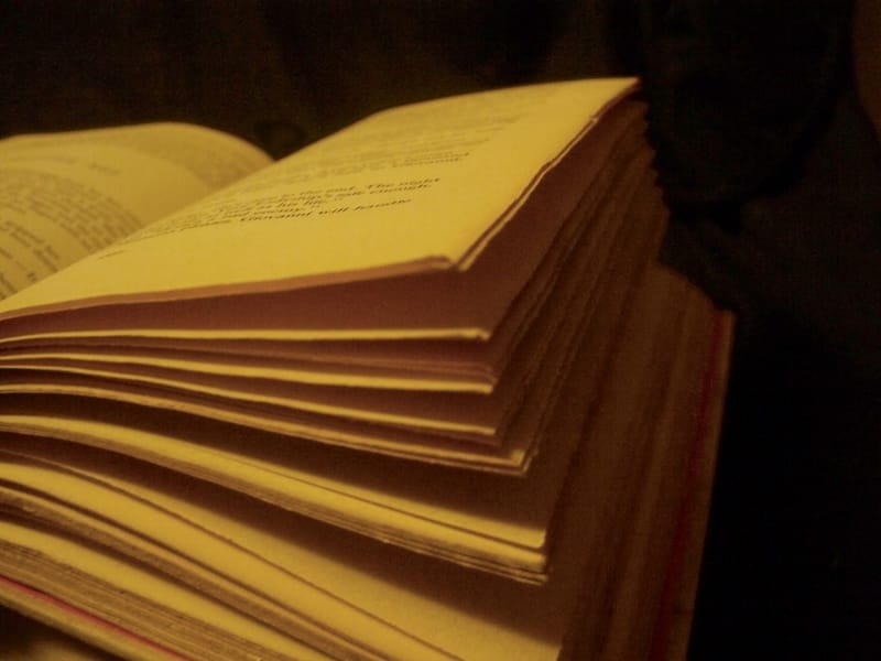 promocija knjige ilustracija flickr Jo Naylor