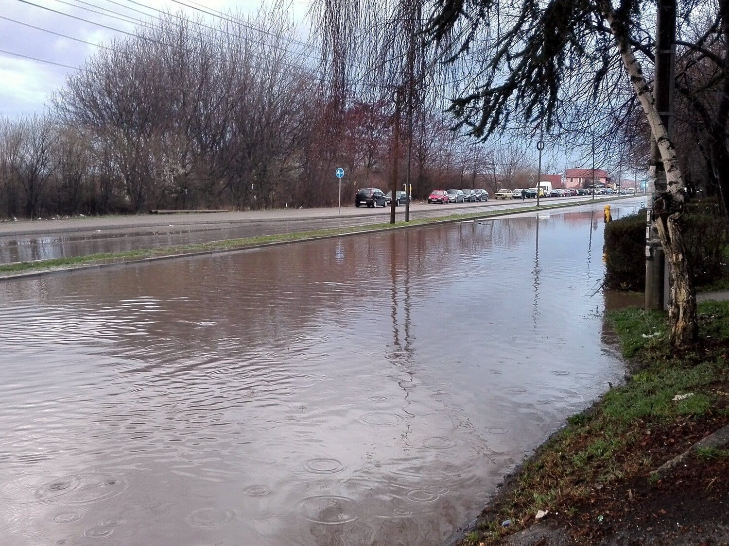 Poplava Somborski bulevar foto D M