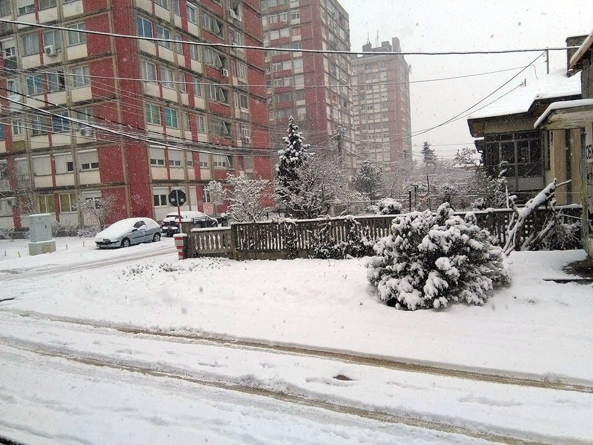 Sneg Nis mart foto JV