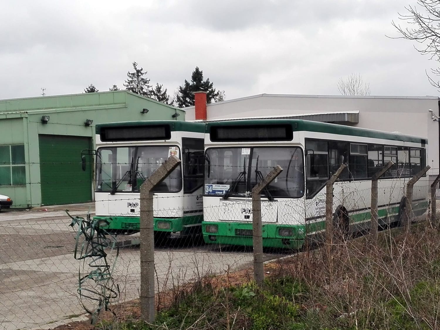 Grad Niš po hitnom postupku bira novog prevoznika za tri linije 1 Autobusi kruzni 1 foto Dalibor Milojkovic