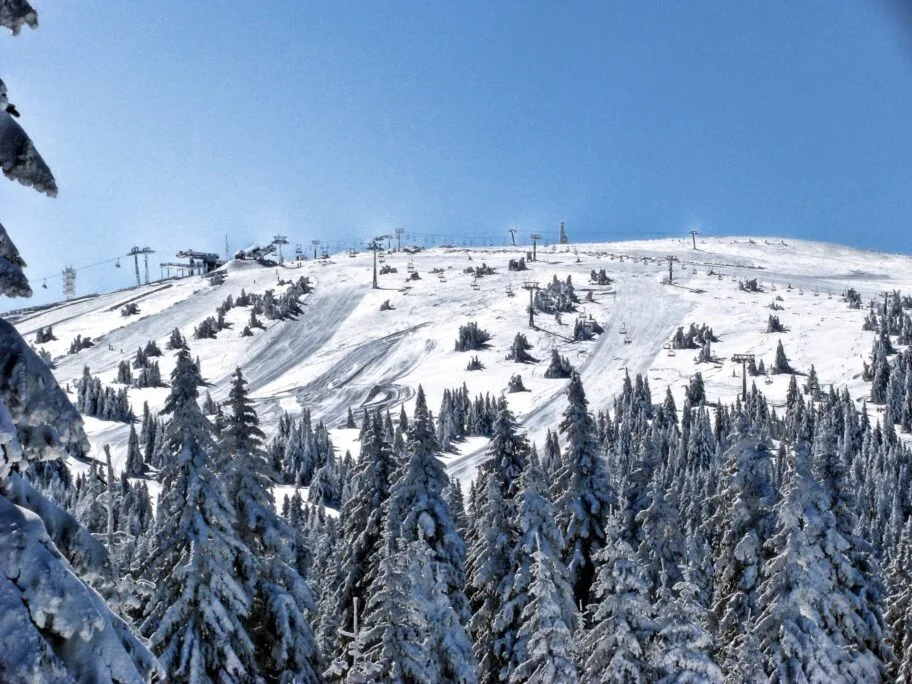 Zimski dan za Nišlije na Kopaoniku 14 Kopaonik foto flickr Ratko Bozovic scaled