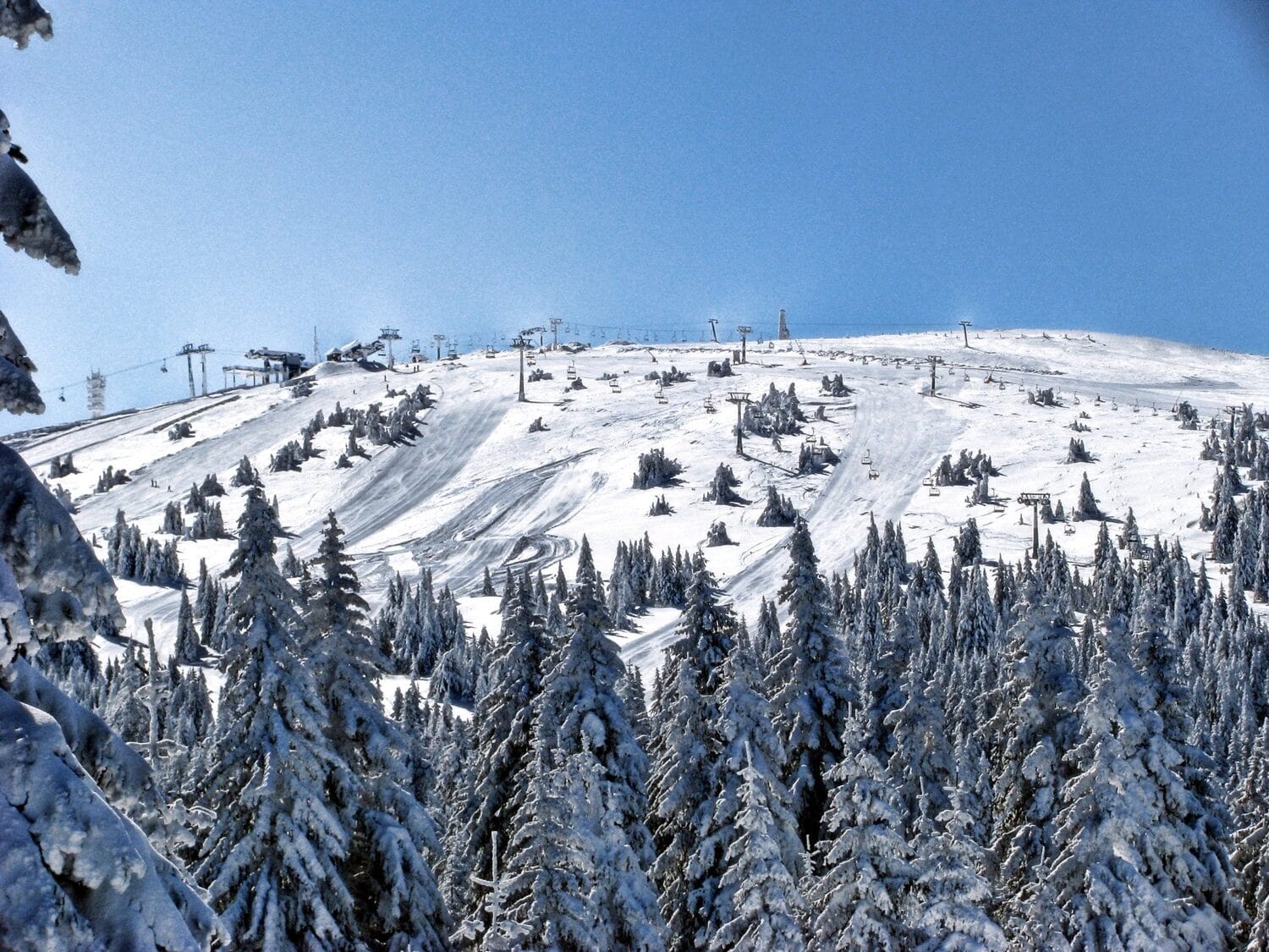 Akcija “Svi na sneg” na Srebrnoj planini 1 Kopaonik foto flickr Ratko Bozovic scaled