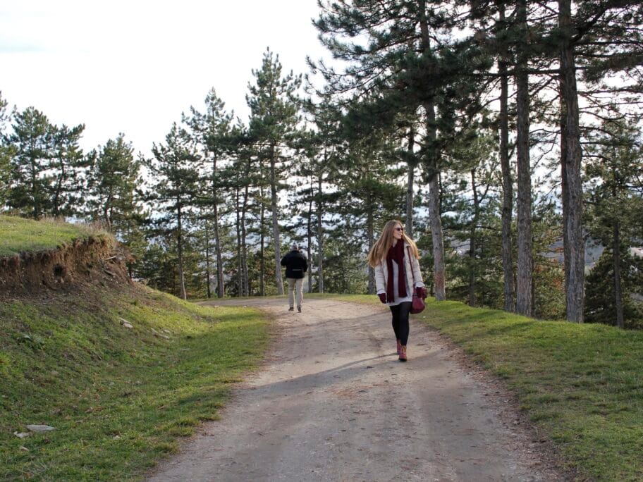 Tradicionalna šetnja u susret Svetskom danu zdravlja 15 Hisar jabuar 2018 foto Bojana Antic