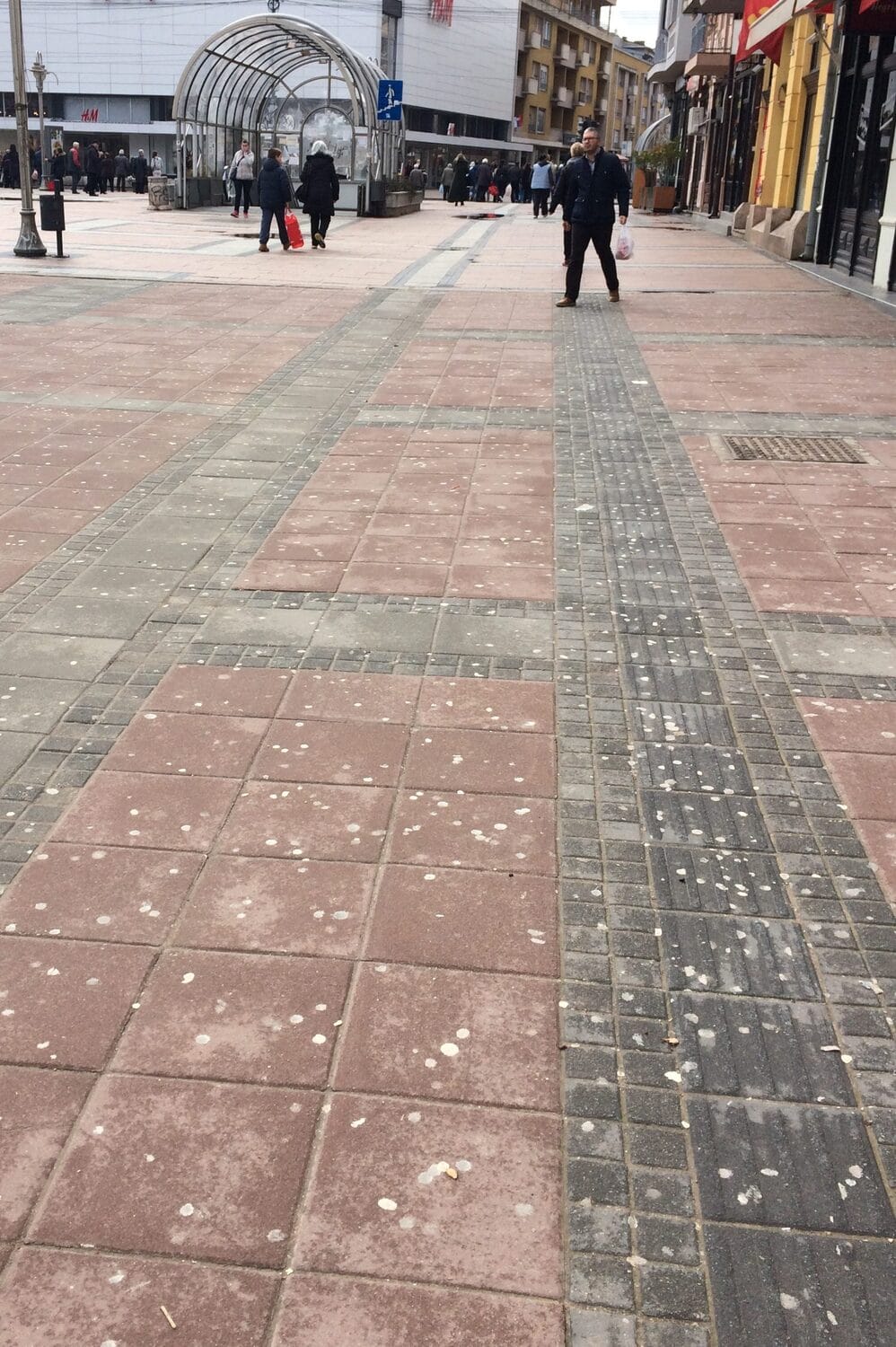 zvake centar foto citalac scaled