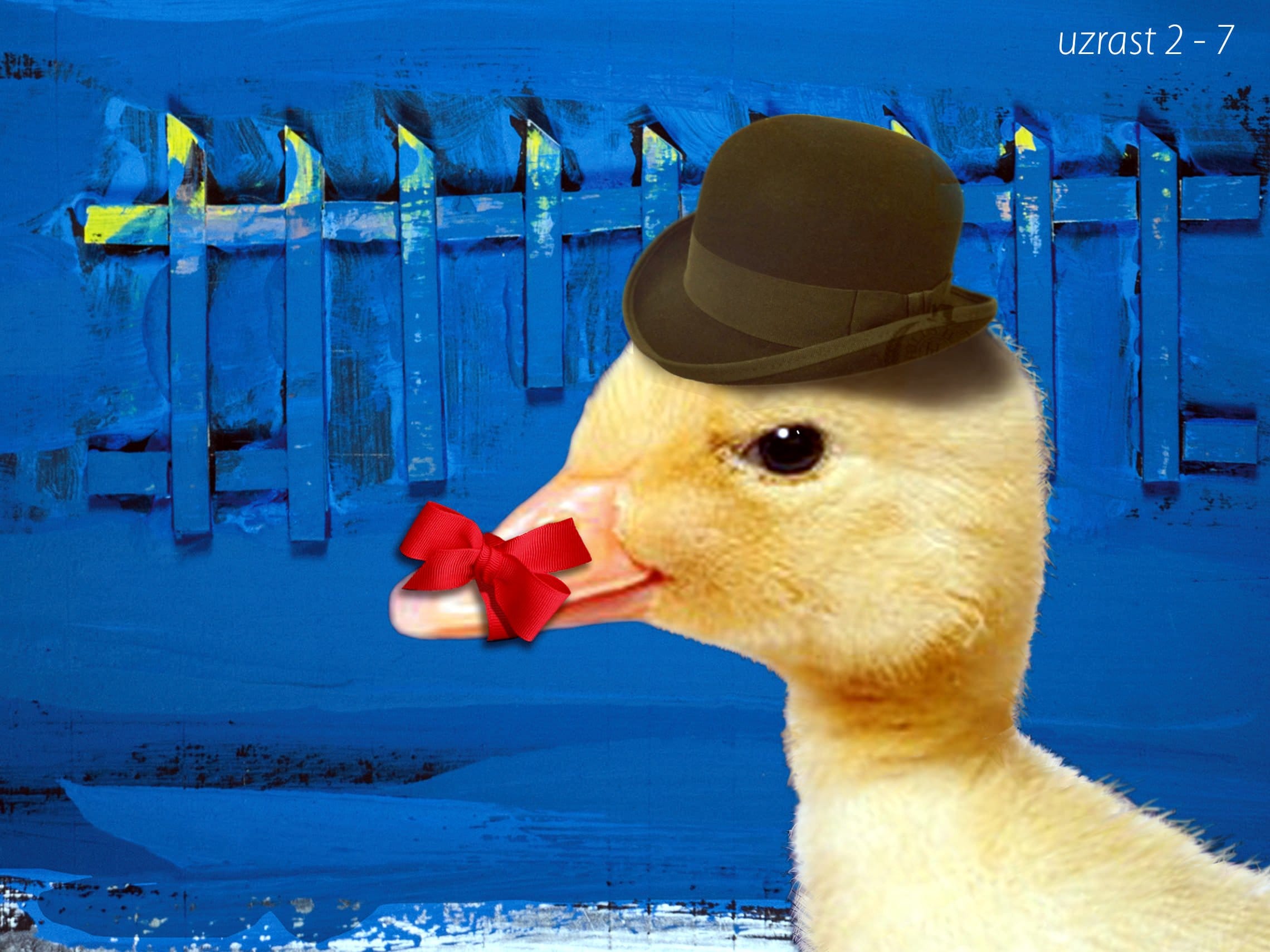 Patkica Zutkica foto plakat