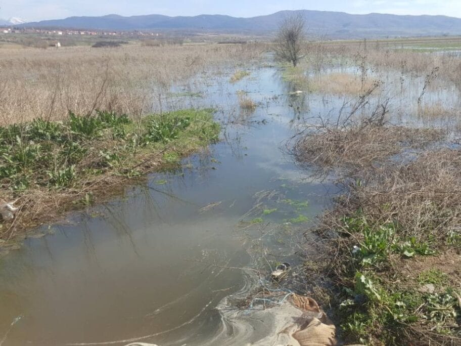 Poplave u Bubanj Selu zbog veštačke brane kojom se štite Novo selo i fabrike 17 Poplave Bubanj selo foto citalac