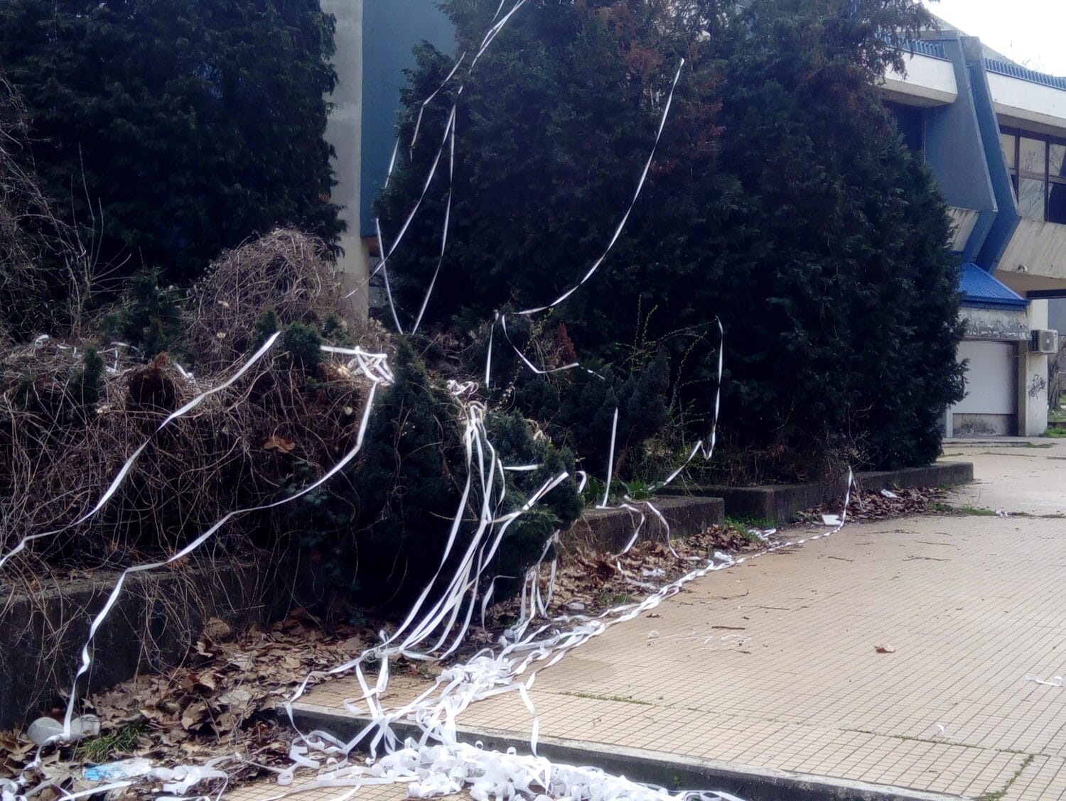 okiceni pmf2 foto citalac scaled