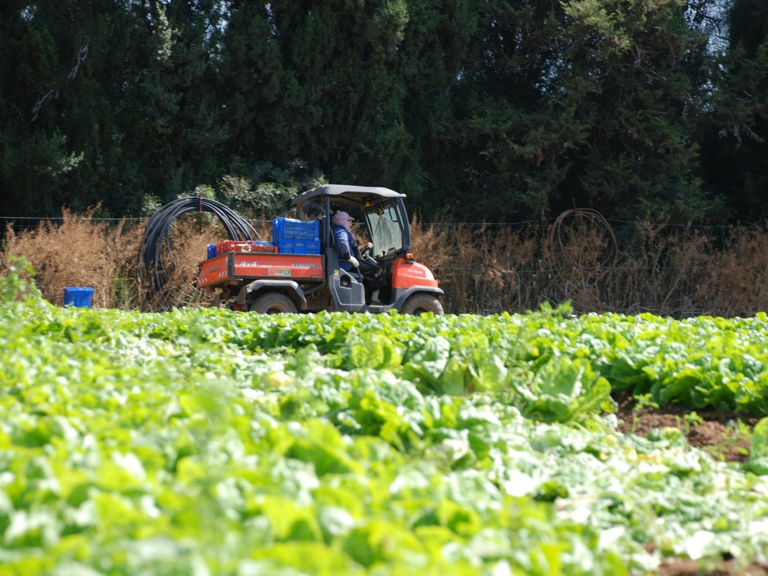 Poljoprivrednik foto flickr StateofIsrael