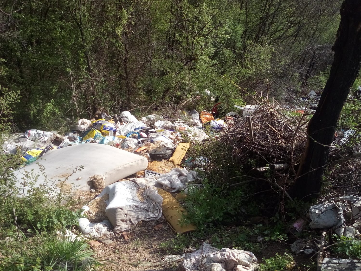 deponija radikinabara2 foto citalac