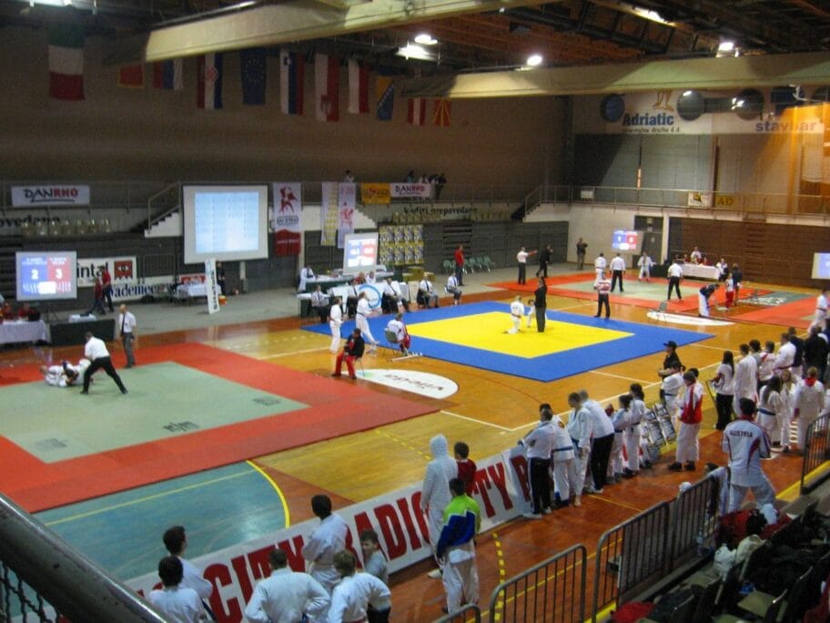 Dziju dzicu turnir Maribor foto NiF Aleksinac