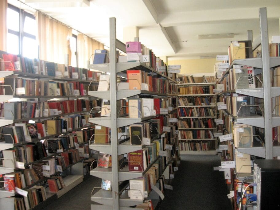 31295672 10215842576481274 69079042808086528 n scaled