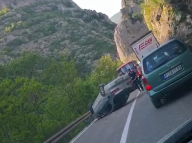 sicevo udes foto V N 2 1