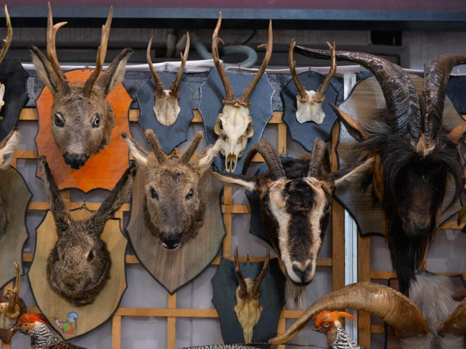 sajam foto vanja keser