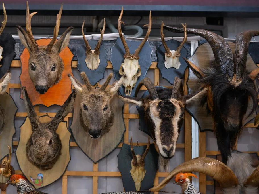 sajam foto vanja keser