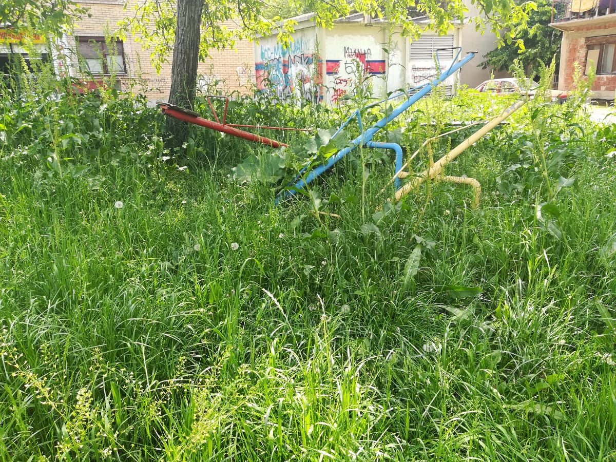 trava bulevar foto am