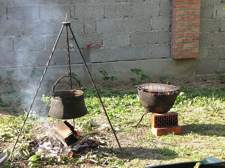 Kotlic foto Wikimedia