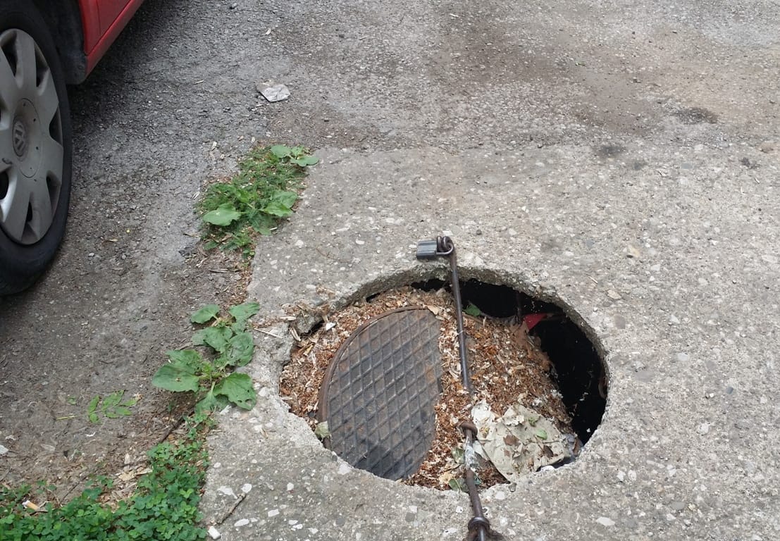 Ostecen saht Duslan foto citalac