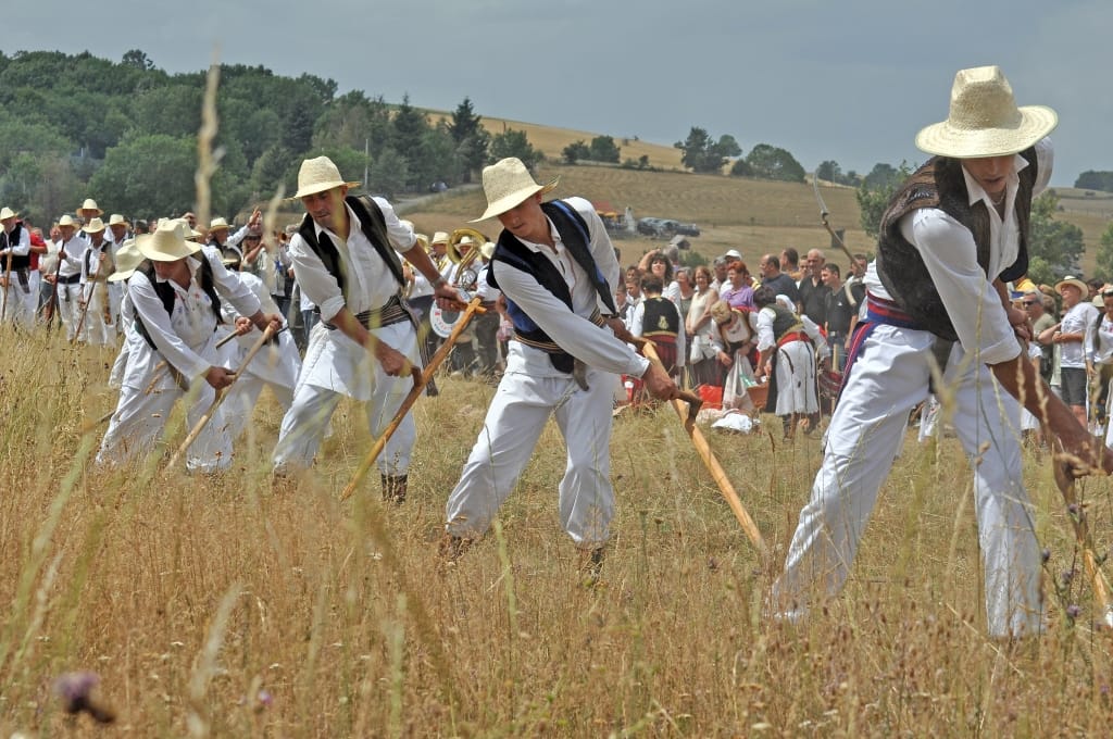 Kosidba-na-Rajcu,-foto-Ivan-Mancic