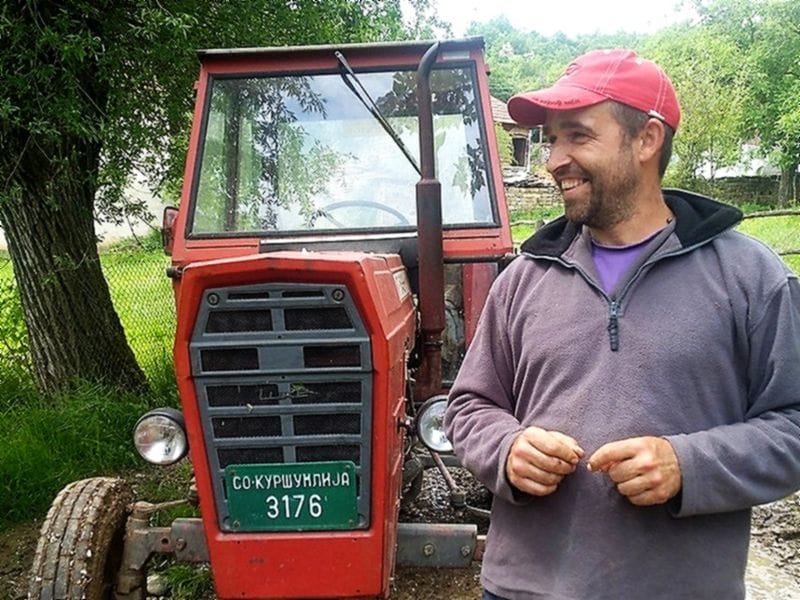 Osuđenik iz Kuršumlije traži da u zatvor povede svoje krave, kokoške i svinje 9 Bojan Radovanovic foto lj m