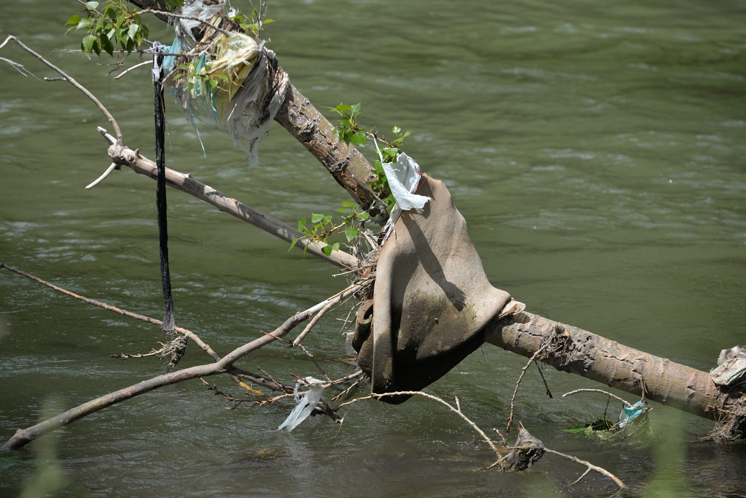 nisava djubre foto vanja keser