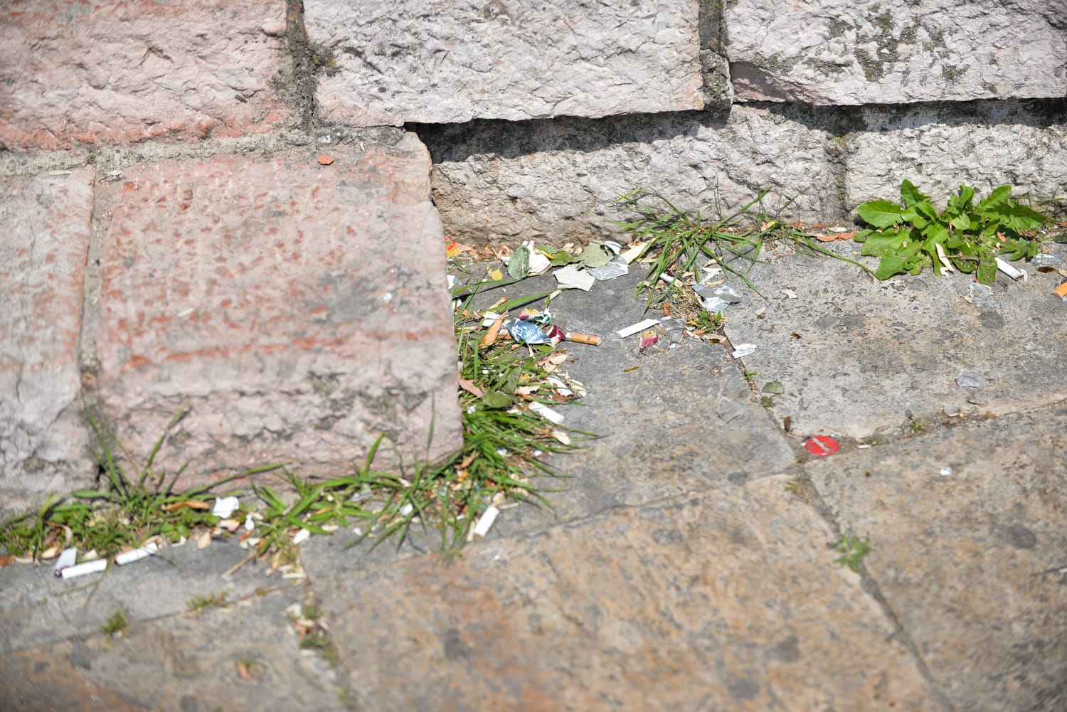 djubre 1 foto vanja keser