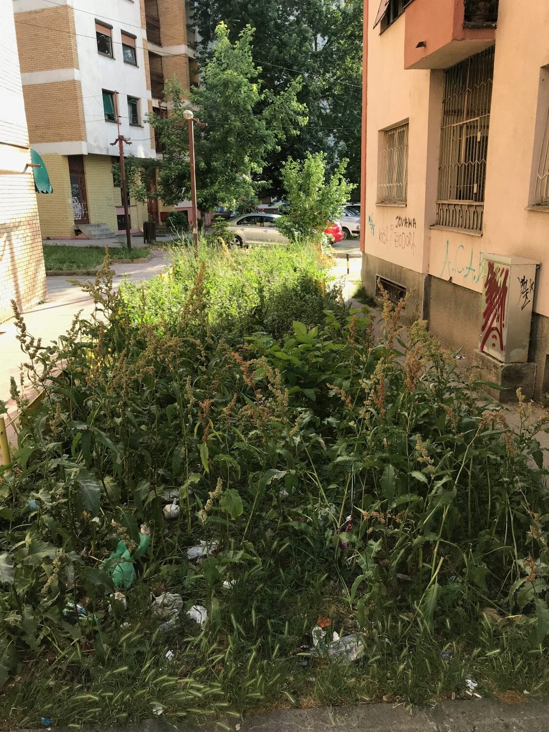 Smeće-Koste-Stamenkovića-Prijavi-problem