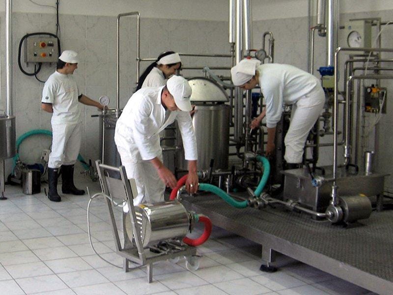 Pirotski učenici na praksi u Bugarskoj 8 mlekarska skola MSP