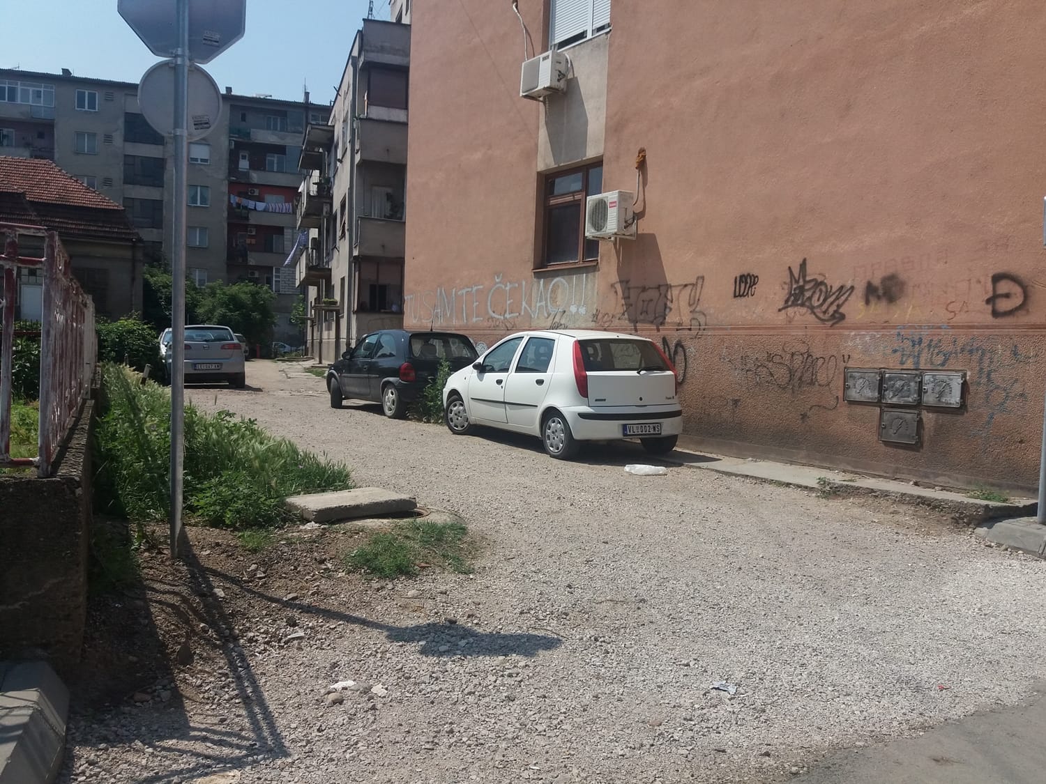 Cara Dusana Leskova jun 2018 foto Bojana Antic