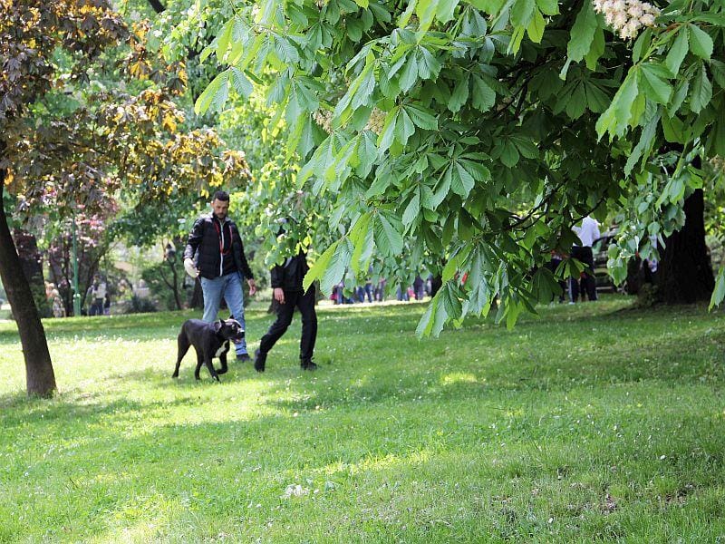 800x600 park vranje foto i m